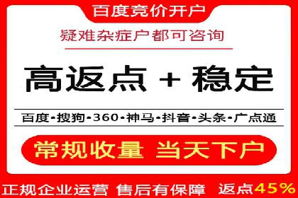 百度竞价广告投放策略：案例分析及效果评估